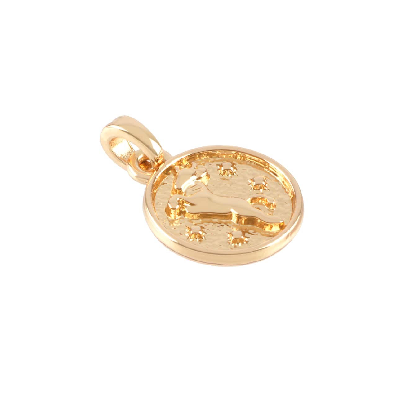 12 Pack: Metal Zodiac Coin Charm by Bead Landing™